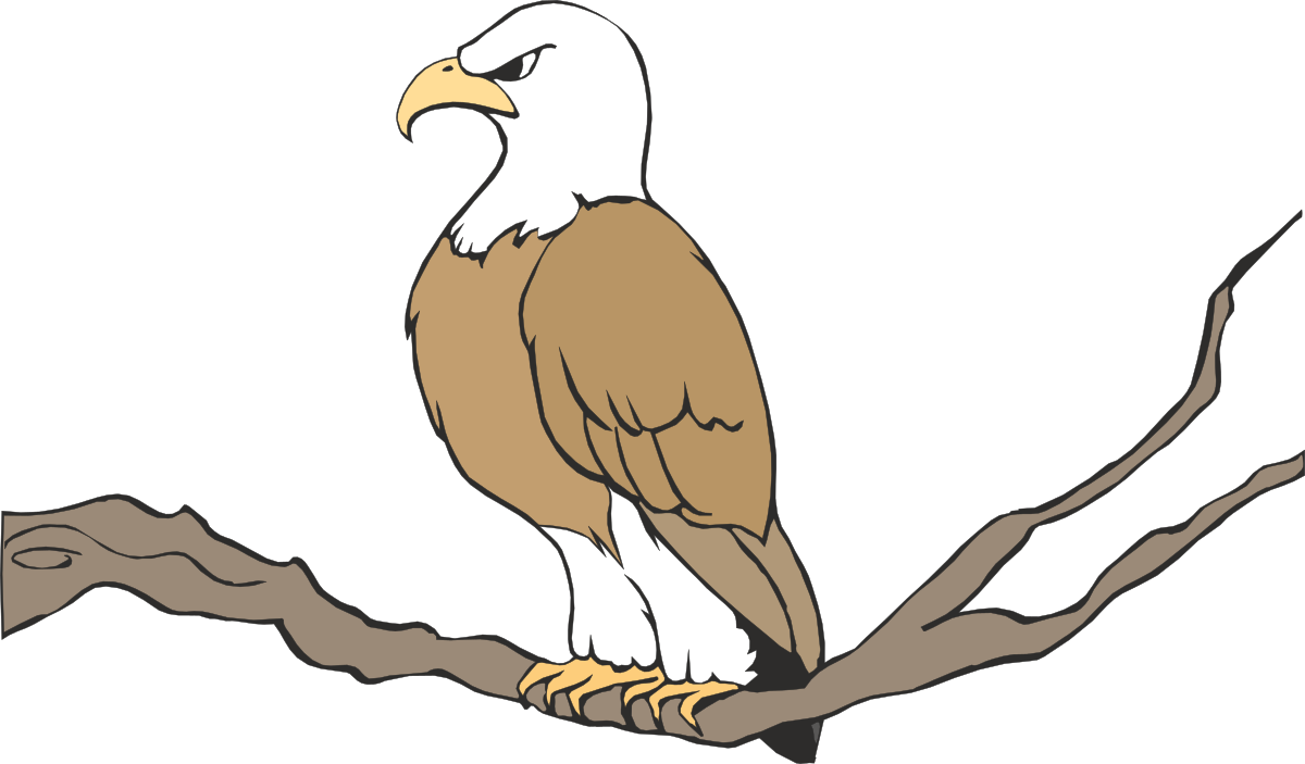 Eagle Sitting on a Branch Clipart - Majestic Bird Illustration