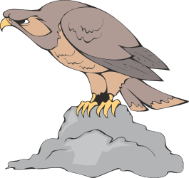 Hawk Perched on Rock Clipart - Majestic Bird Illustration