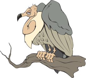 Vulture Clipart: Stunning Wildlife Illustration for Your Projects