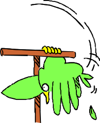 Green Bird Perched on a Branch - Vibrant Nature Clipart