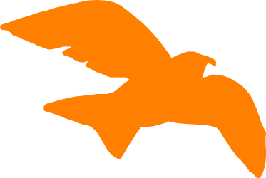Bird Silhouette Flying - Stunning Clipart for Creative Projects