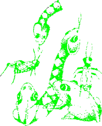 Black and Green Map of the United States Clipart for Creative Projects