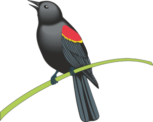 Bird on a Branch Clipart - Elegant Nature Illustration