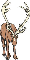 Moose Clipart with Ants: Whimsical Wildlife Illustrations