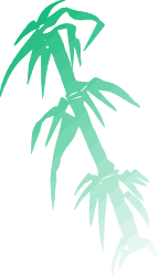 Green Palm Tree Clipart: Lush Tropical Leaves for Your Projects