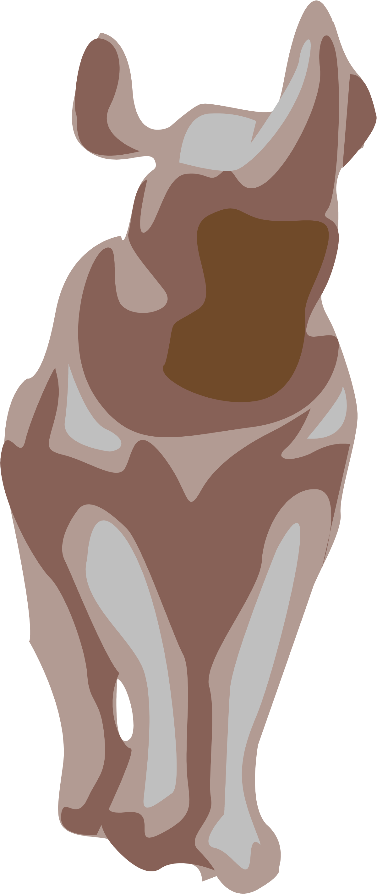 a brown and white dog sitting on a black background clip art png transparent Brown and White Dog Sitting on Black Background - Stunning Clipart for Your Projects