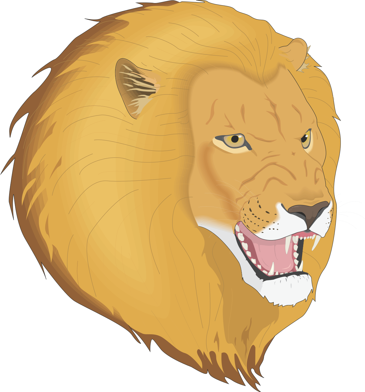 a lion head with a big mane clip art png transparent Lion Head with Majestic Mane Clipart for Bold Designs