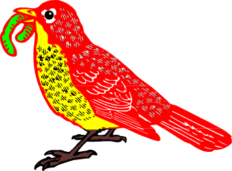 Red Bird with Green Beak Clipart for Vibrant Designs