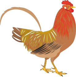 Rooster Clipart: Vibrant Red-Headed Bird with Yellow Legs