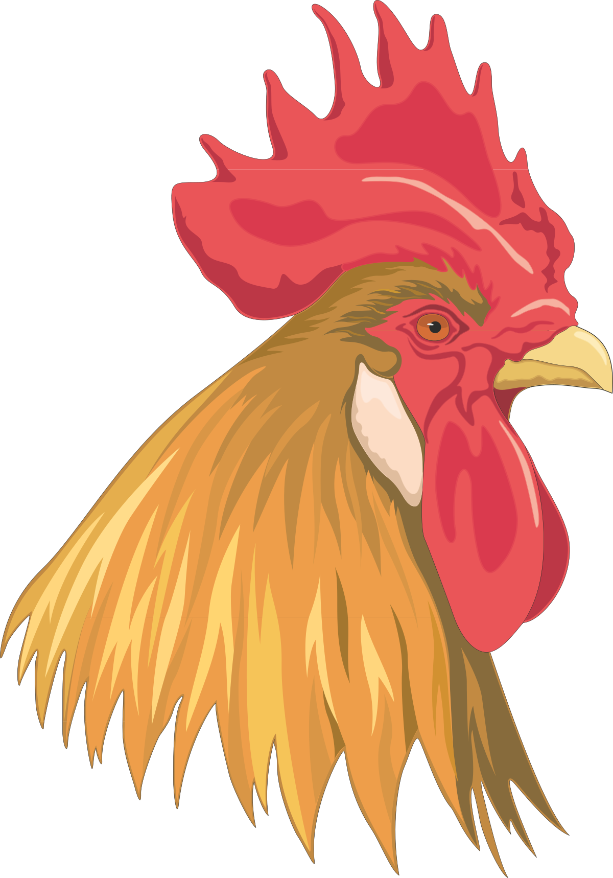 a rooster head with a red and yellow beak clip art png transparent Rooster Head Clipart with Red and Yellow Beak