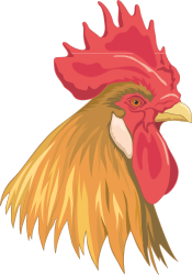 Rooster Head Clipart with Red and Yellow Beak
