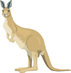 Kangaroo Standing on Hinds - Fun Clipart for Your Projects