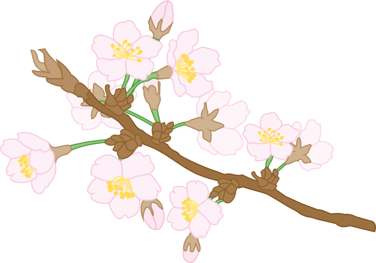 Branch with Flowers Clipart - Beautiful Floral Elements for Your Projects