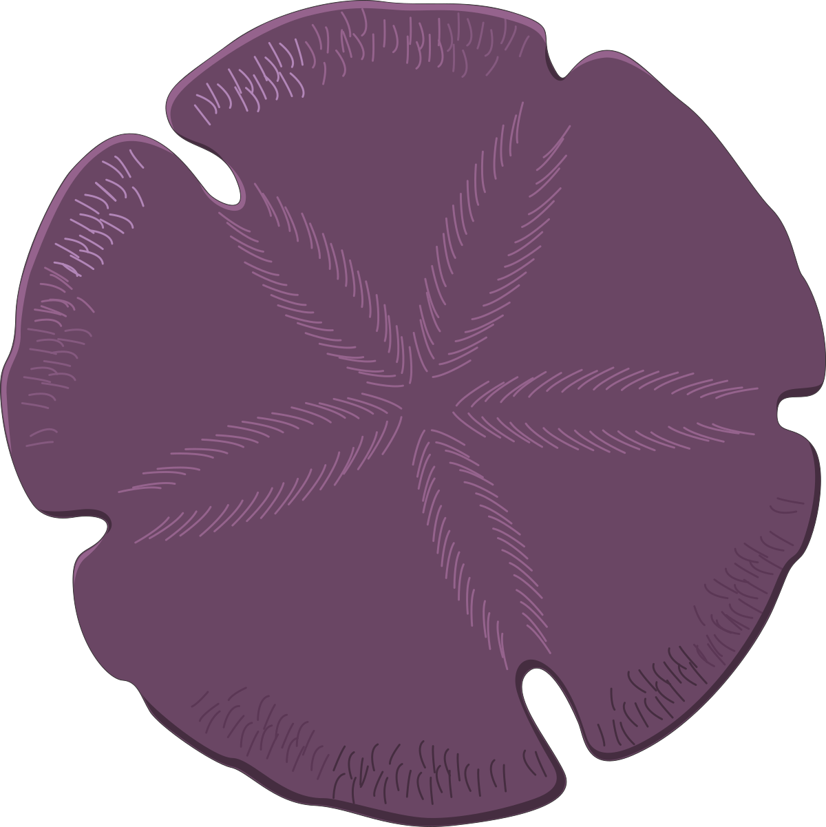 Purple Flower Against Black Background - Striking Clipart