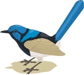 Blue and Brown Bird Clipart with Long Tail - Vibrant Nature Illustrations