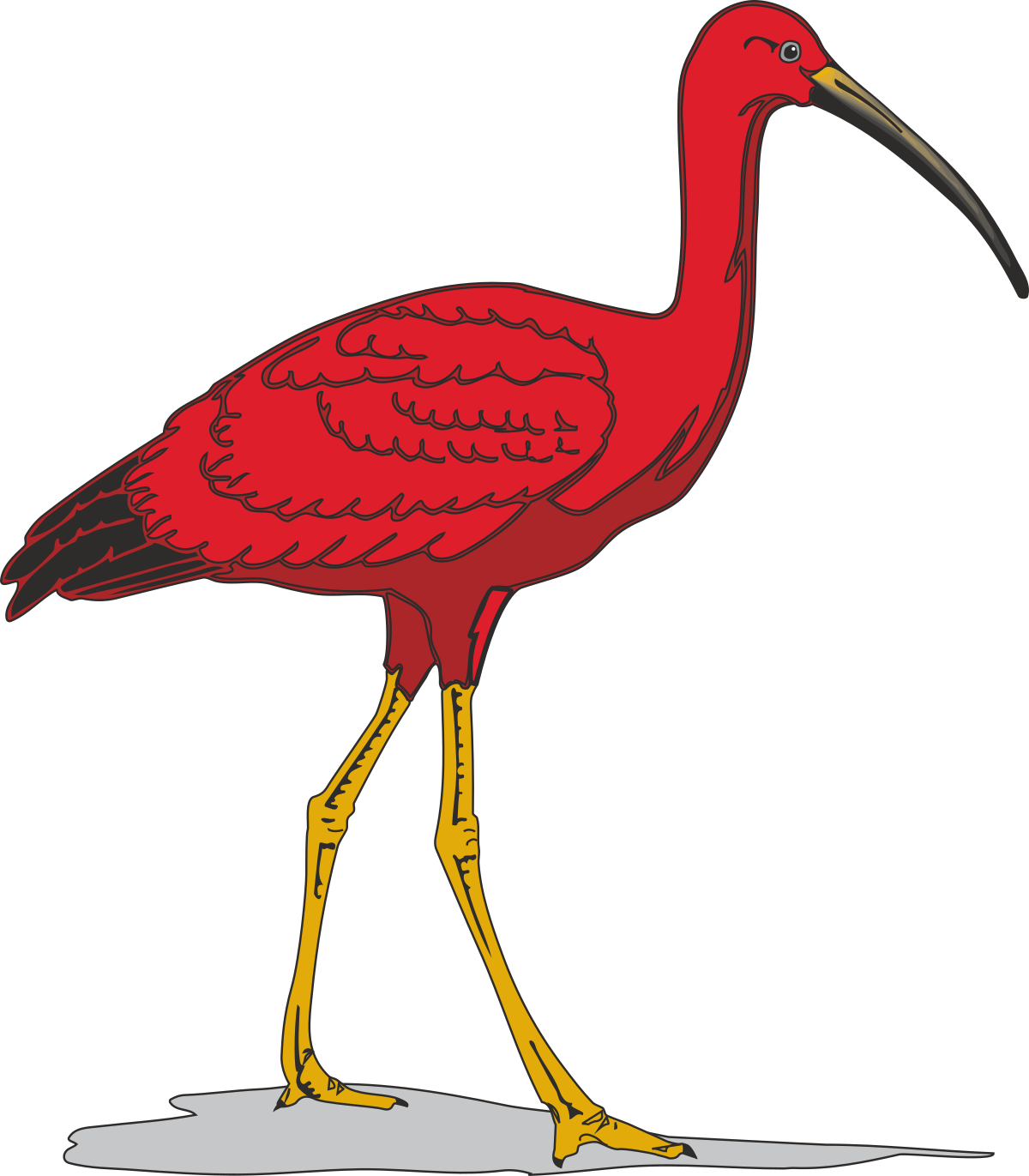 Red Bird Clipart with Yellow Feet and Long Beak