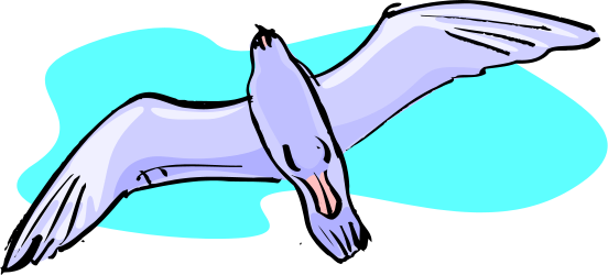Seagull Flying in the Sky - Stunning Clipart for Nature Lovers
