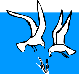 Birds Flying in the Sky - Vibrant Clipart Illustrations