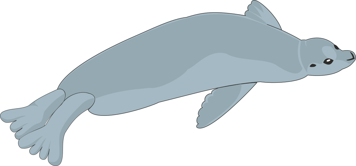 a gray seal seal floating on a black background clip art png transparent Gray Seal Floating on Black Background - Stunning Clipart for Your Projects