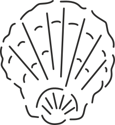 Black and White Shell Clipart for Stunning Designs