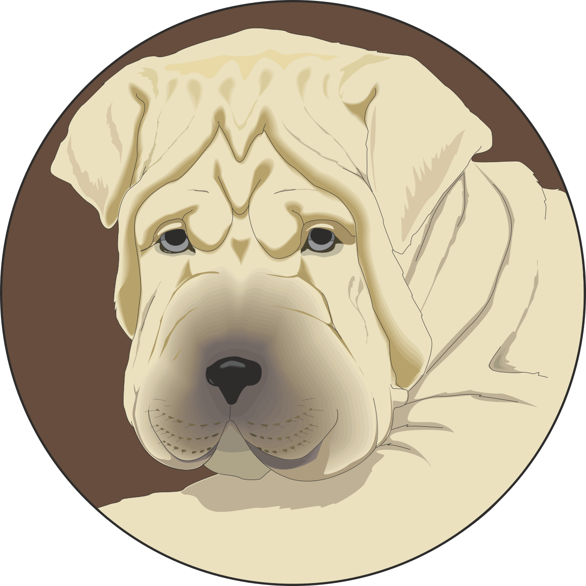 a dog with a white face clip art png transparent Dog with White Face Clipart - Adorable and Playful Companion