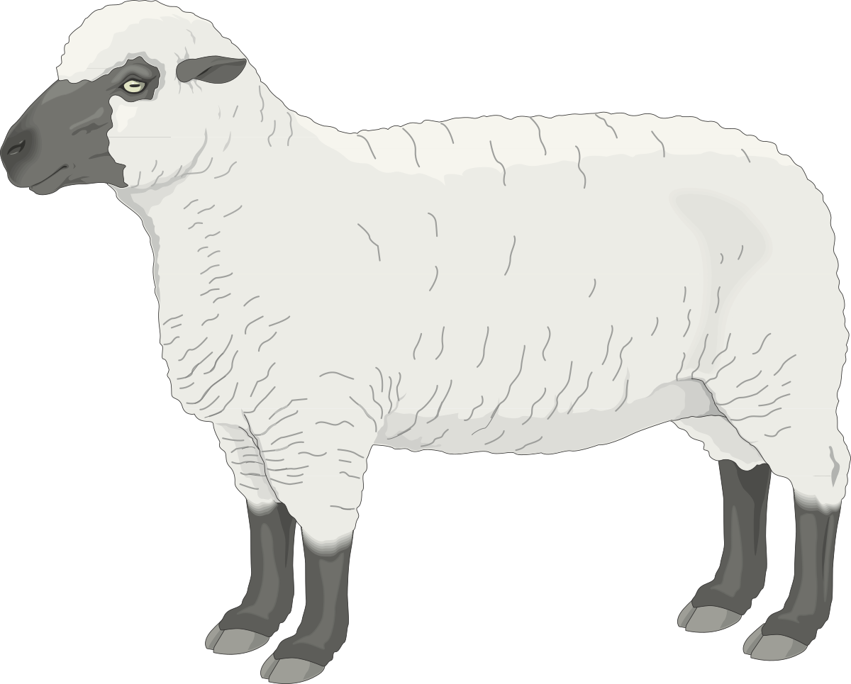 a sheep standing on a black background clip art png transparent Sheep Standing on Black Background Clipart - Perfect for Your Projects