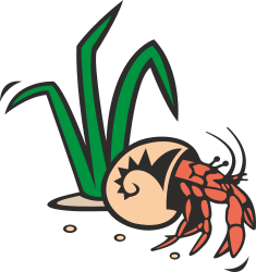 Crab Crawling on the Ground Clipart  Vibrant Ocean Life Illustration