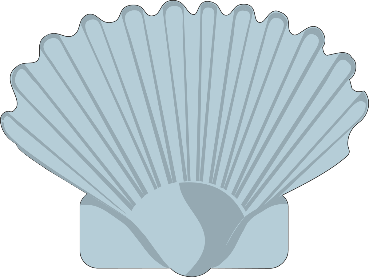 Shell Clipart: White Shell with Intricate Details for Versatile Use