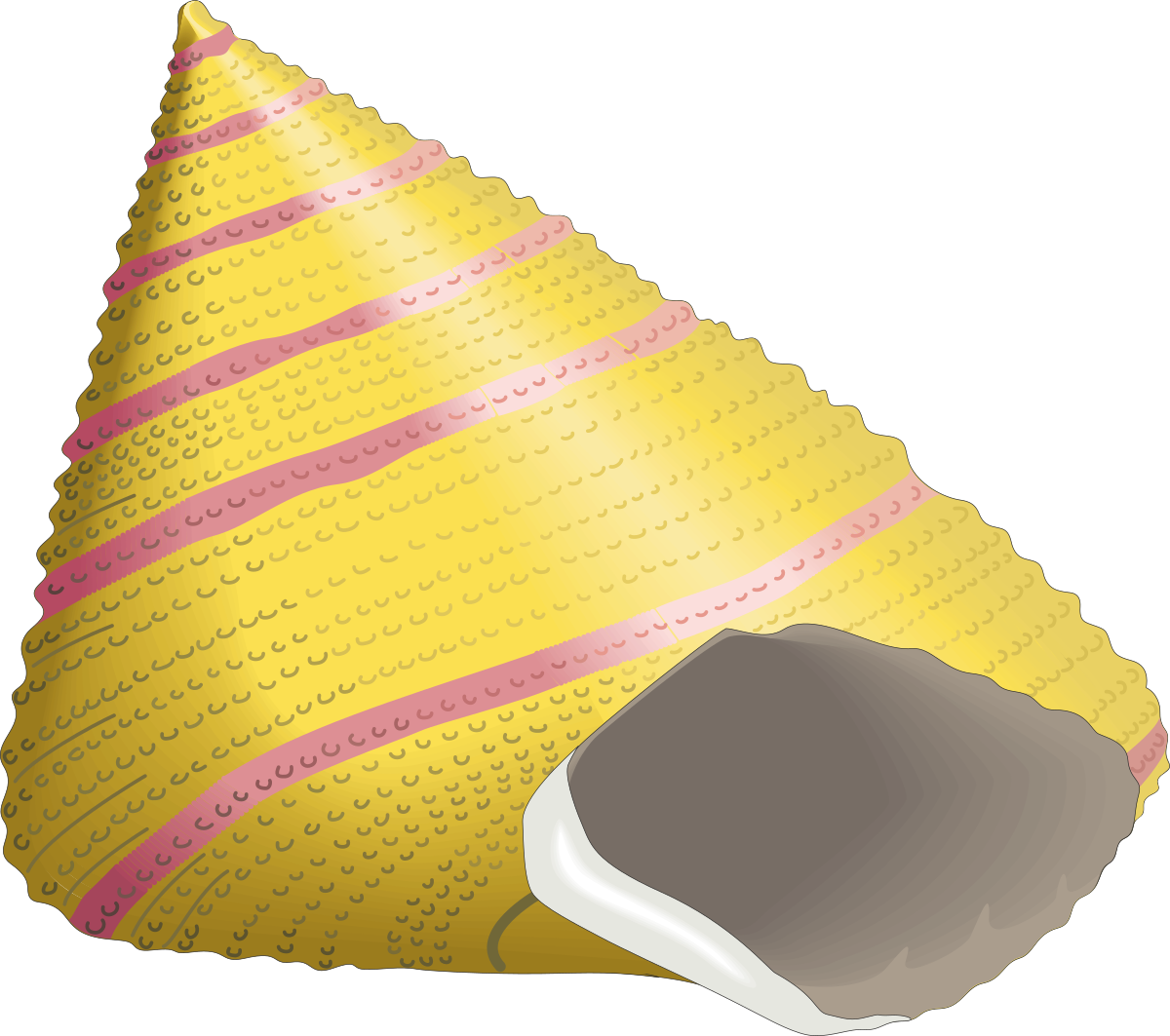 a yellow cone with pink stripes clip art png transparent Yellow Cone with Pink Stripes - Fun and Vibrant Clipart