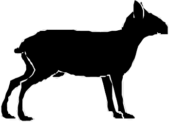 Black and White Silhouette of a Dog - Elegant and Versatile Clipart