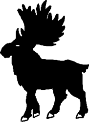 Bearded Man Black and White Silhouette Clipart