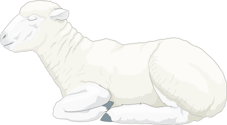Sheep Laying Down on Ground Clipart - Perfect for Farm Themes