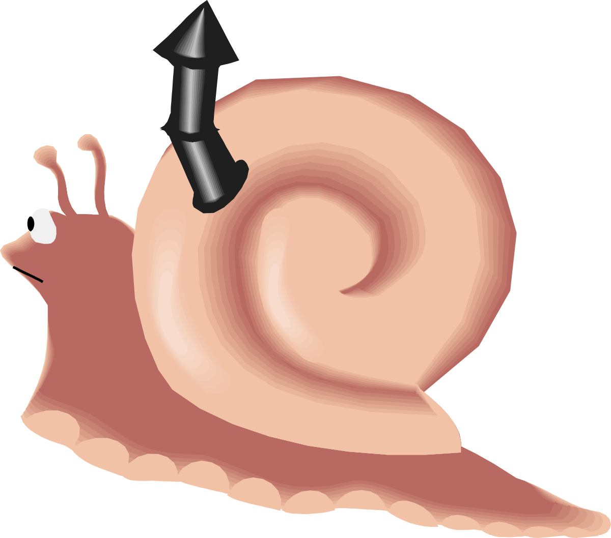 Snail with Black Hat Clipart - Adorable and Whimsical SVG Art