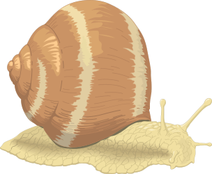 Snail with Shell on Back Clipart - Adorable and Detailed Illustration