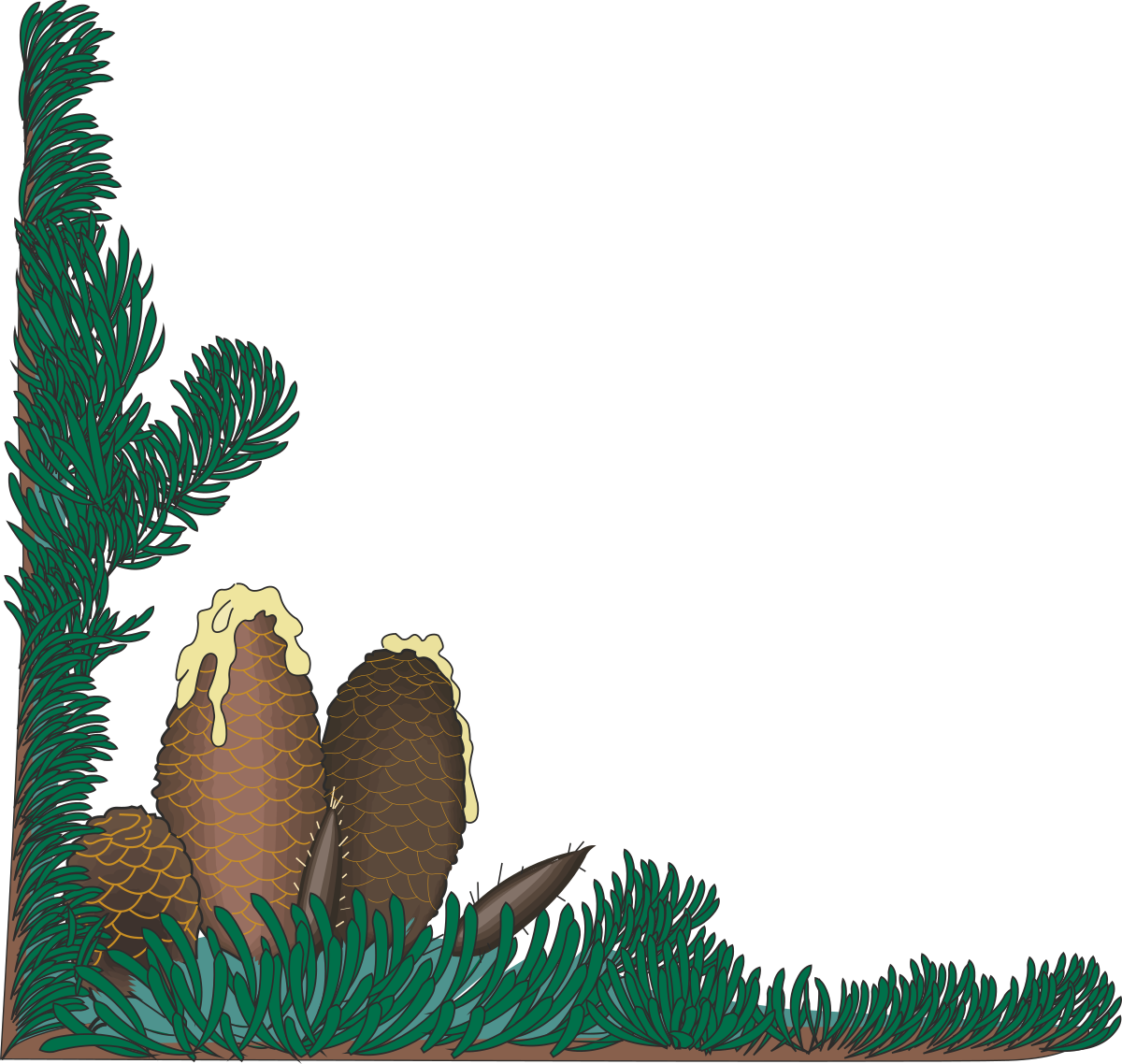 Borders with Spruce Cones: Stunning Clipart of Pine Branches
