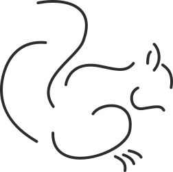 Black and White Cat Clipart - Charming Tail Design