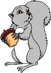 Squirrel Eating Nut Clipart - Adorable Wildlife Illustration
