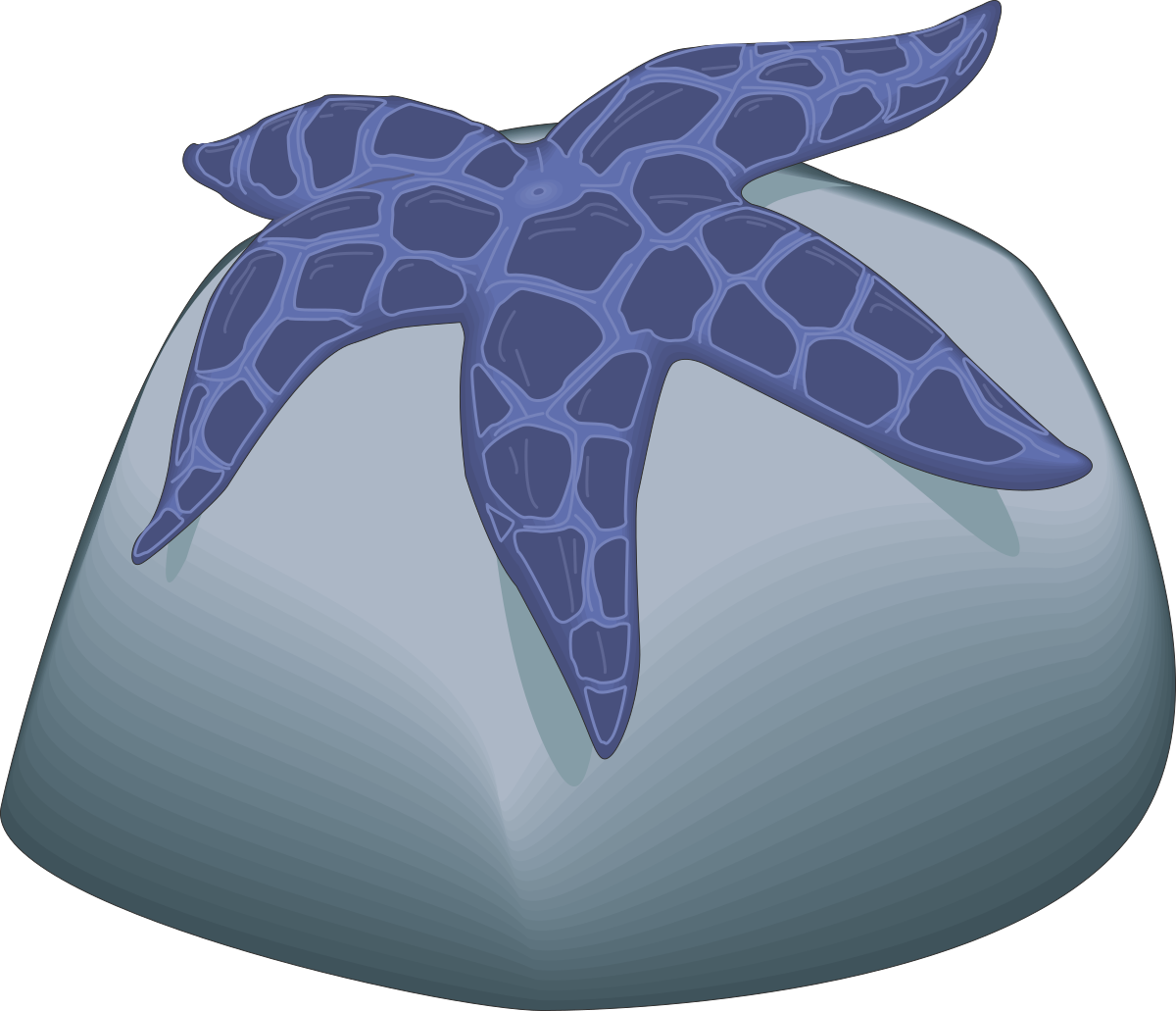 a blue starfish on a rock clip art png transparent Blue Starfish on Rock Clipart: Vibrant Coastal Aquatic Decor
