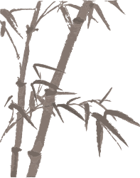 Bamboo Tree Clipart: Lush Green Leaves & Branches for Creative Projects