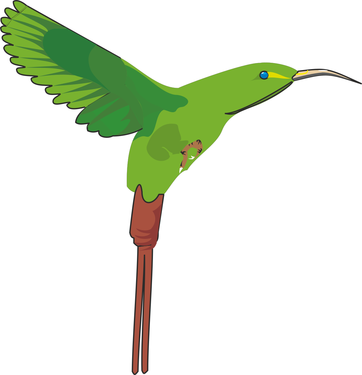 Green Hummingbird Flying with Wings Spread - Stunning Clipart
