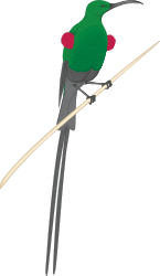 Bird on a Stick Clipart - Charming Nature Illustration