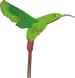 Green Hummingbird Flying with Wings Spread - Stunning Clipart