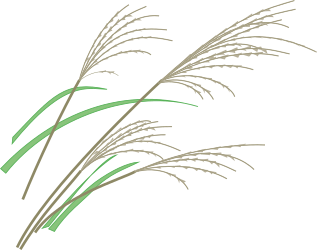 Green Grass Clipart: Vibrant Stems for Your Projects