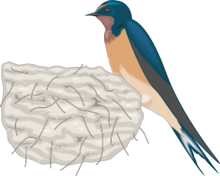 BIRDS,SWALLOW clipart