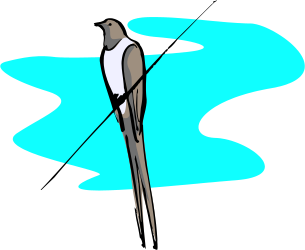 Bird Perched on Branch Clipart - Nature's Serenity