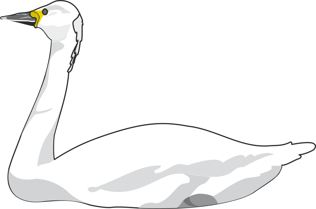 Elegant White Swan with Yellow Beak Clipart