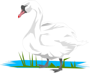 Elegant White Swan Standing in Water - Royal Clipart Collection