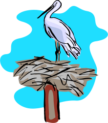 Bird on Wooden Pole Clipart - Vibrant and Versatile Illustration