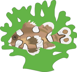 Fish with White and Brown Body - Stunning Clipart for Visual Projects