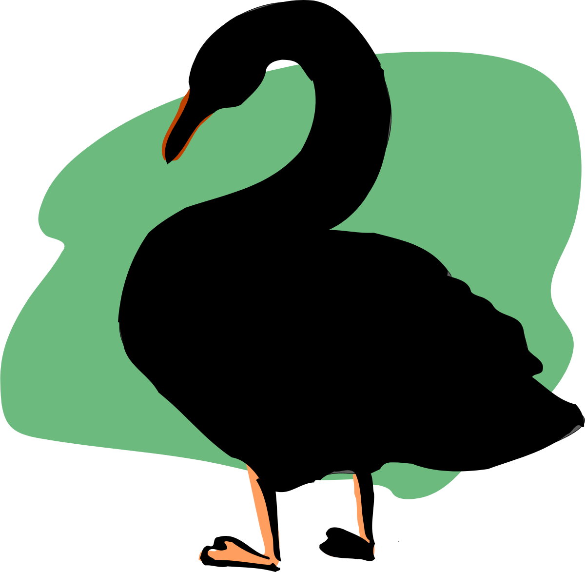 Black Swan on a Green Background - Stunning Clipart for Your Projects